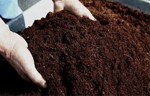 تصویر 3 از خرید خاک پرومکس ملکه + قیمت فروش استثنایی